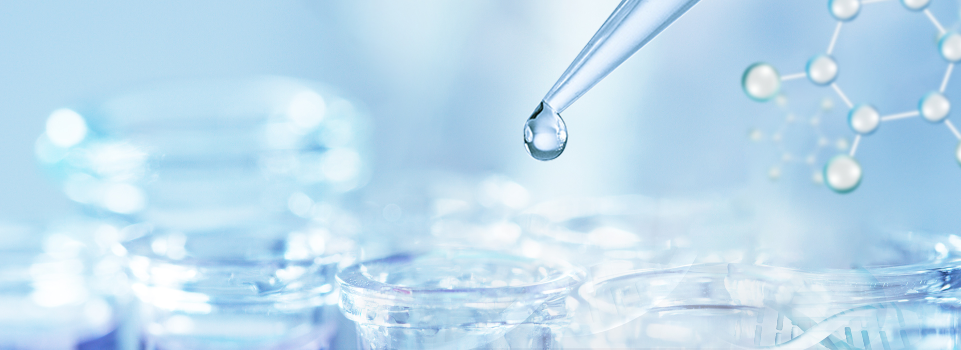 pp电子游戏·模拟器(试玩)官方网站