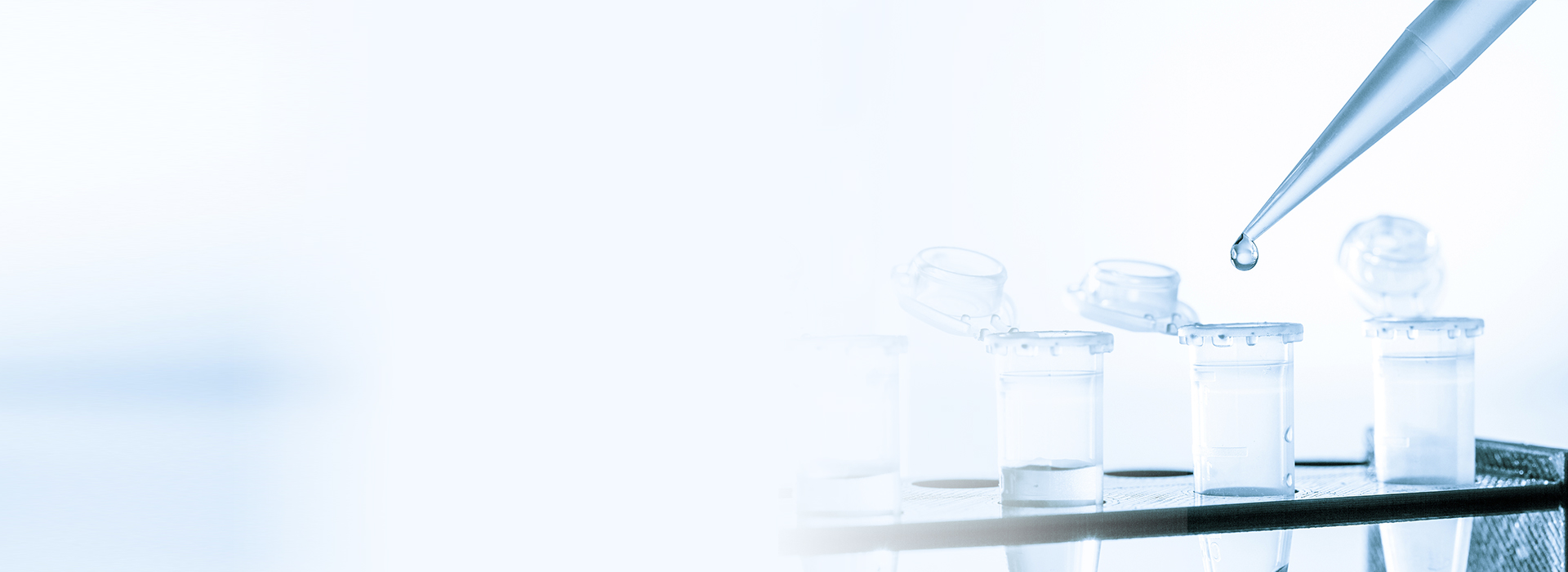 pp电子游戏·模拟器(试玩)官方网站